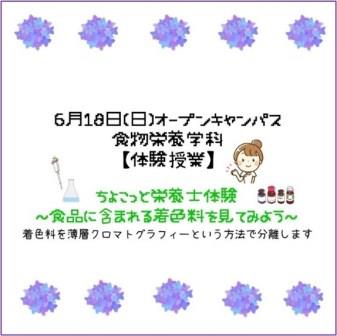 ちょこっと栄養士体験～食品に含まれる着色料を見てみよう～