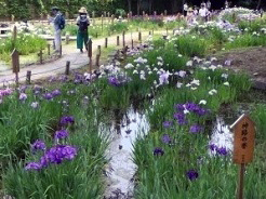 須磨離宮公園での朗読会の様子